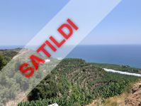 Villa Hidden Valley