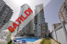 Goldcity Aura ( 1+1 No:28 )