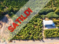 Yeni proje Brandom Oba da Alanya