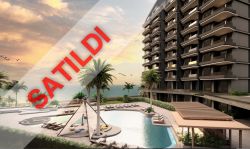 The Seascape Collection