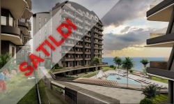 The Seascape Collection