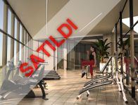 The Seascape Collection