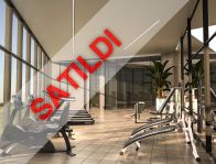 The Seascape Collection