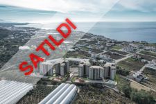 The Seascape Collection