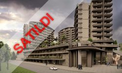 The Seascape Collection