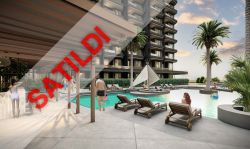 The Seascape Collection