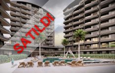 The Seascape Collection