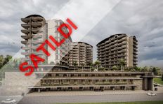 The Seascape Collection